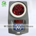 Chinese Good Quality Competitive Price Dark Red Kidney Beans